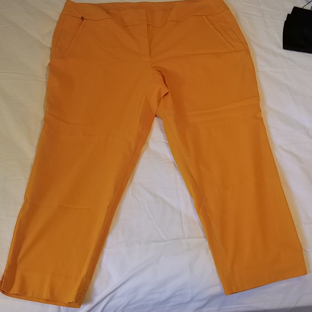 Lane Bryant pants